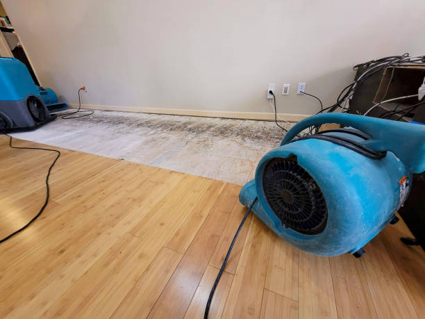 Professional Flood Damage Cleanup technician working in Union, MO